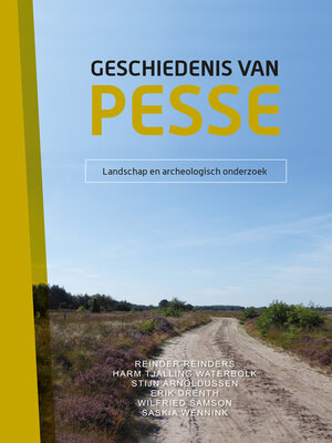 cover image of Geschiedenis van Pesse (set)